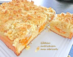 Gâteau autrichien aux abricots