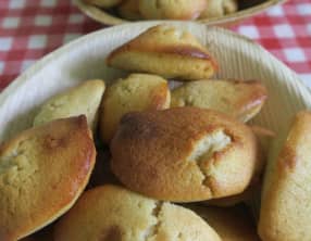 Madeleines façon Gaston Lenôtre