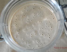 Levain liquide d’Eric Kayser