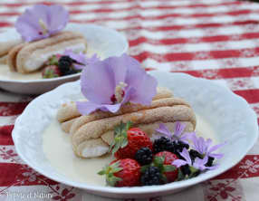Biscuits cuillère à la crème anglaise parfumée à la verveine citronnelle
