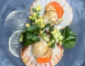 Saint-Jacques juste poêlées, brunoise de pomme verte, avocat et radis noir