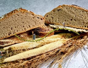 Premier pain avec mon levain