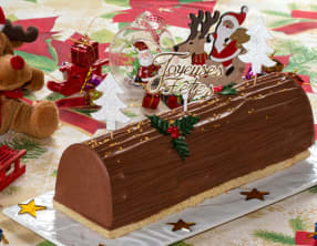 Bûche chocolat praliné