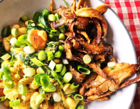 Effiloché de pleurotes