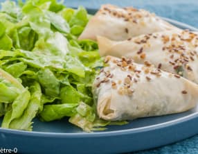 Briks aux épinards, poireaux et fromage