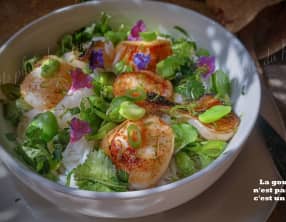 Riz aux noix de St Jacques Primavera