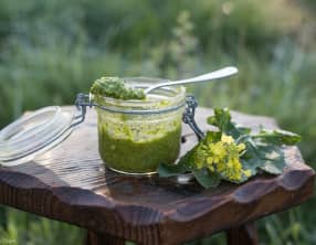 Pesto de fleurs de moutarde sauvage
