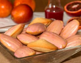 Madeleines glacées à l'orange sanguine