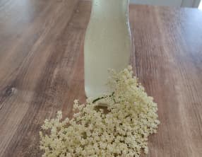 Sirop de fleur de sureau