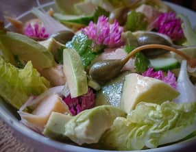 Salade sauvage aux fleurs de trèfle