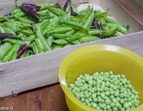 Cuisson des petits pois