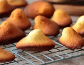 Madeleines à la vanille, poudre d'amandes et miel
