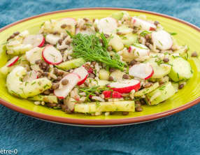 Salade de riz et lentilles au concombre et radis