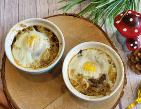 Œufs cocottes crémeux aux pleurotes et truffes