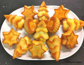 Mini moelleux au saumon fumé