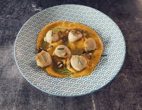 Saint-Jacques snackées, crème de butternut