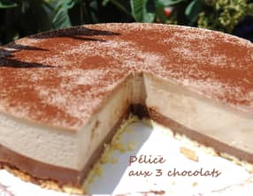 Délice aux 3 chocolats