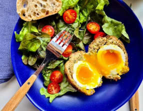 Scotch egg