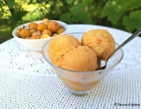 Sorbet à la mirabelle facile sans sorbetière