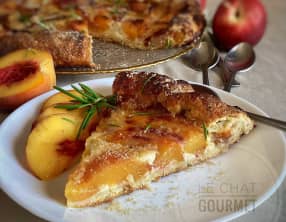 Tarte rustique aux nectarines et aux pêches