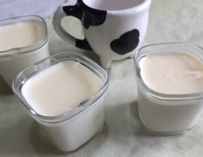 Yaourt maison au lait cru de ferme