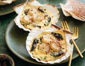Noix de saint-jacques en coquille aux morilles