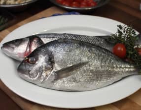 Ecailler un poisson portion