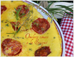 Omelette à la Spagnol