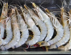 Gambas grillées à la mexicaine