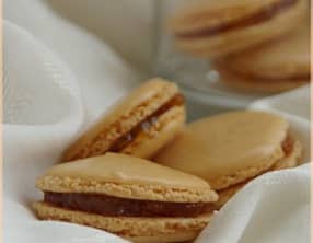 Macarons à l'abricot