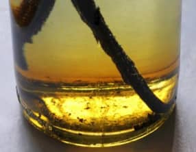 Réaliser son extrait de vanille