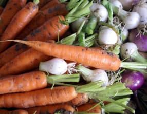 Jardinière de légumes : la préparation des légumes