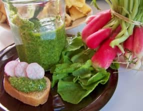 Pistou de fanes de radis