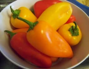 Mini-poivrons farcis aux blettes à la niçoise
