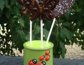 Sucettes au chocolat noir et abricots secs