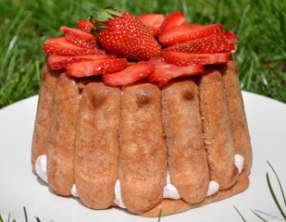 Charlotte aux fraises