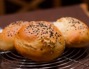 Buns ou pain à hamburger