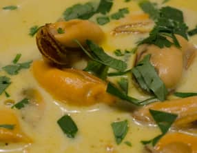 Velouté de moules au curry