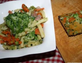 Macaronis hauts en couleurs