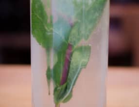 Jus de citron pressé à la menthe