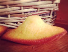 Madeleines