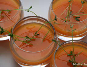 Soupe froide de Carottes à l'Orange et Germes de Lentilles