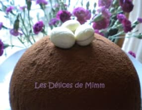 Bombe au chocolat