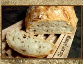 Pain sans pétrissage