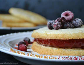 Macarons à la noix de coco et sorbet fraise