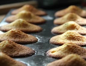 Madeleines au citron vert