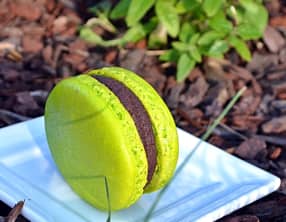 Macarons chocolat noir verveine