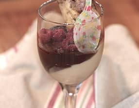 Panna cotta chocolat café et nems de framboise