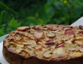 Gâteau pomme et rhubarbe tout doux