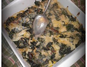 Gratin pas bête aux côtes de bette